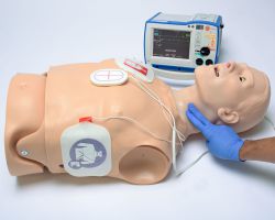 CPR+D Trainer S315.600