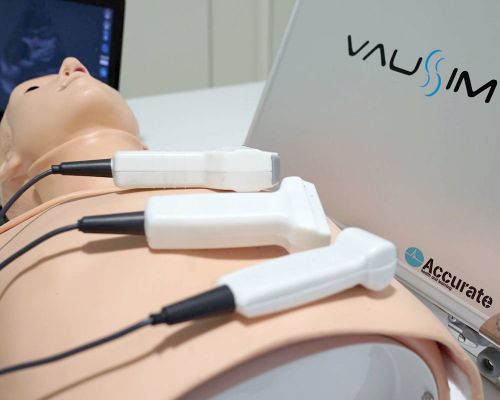 Vaussim - Versatile Advanced Ultrasound Simulator
