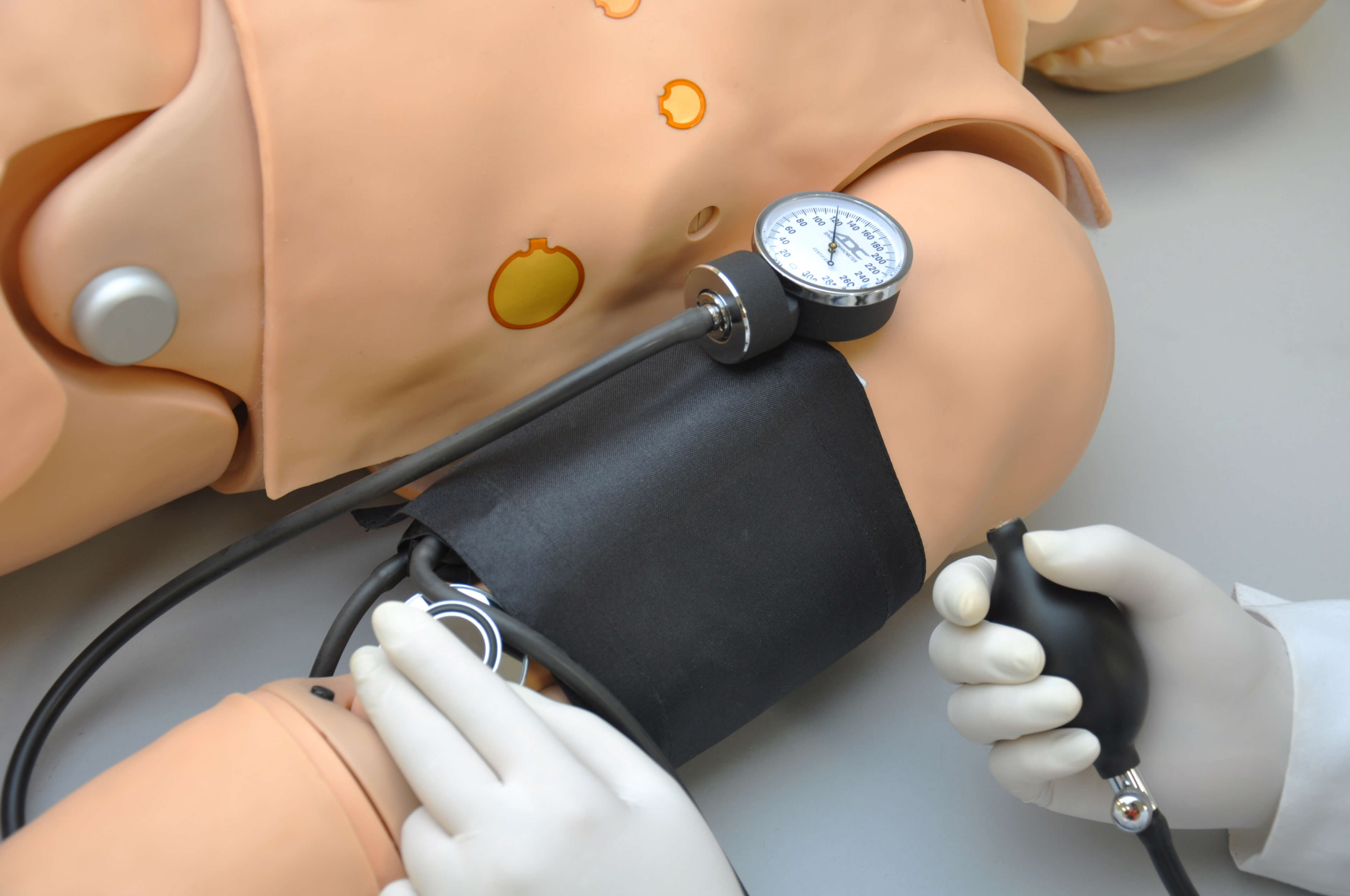 Blutdruckmessung durch Personal an High End Erwachsenensimulator von Gaumard