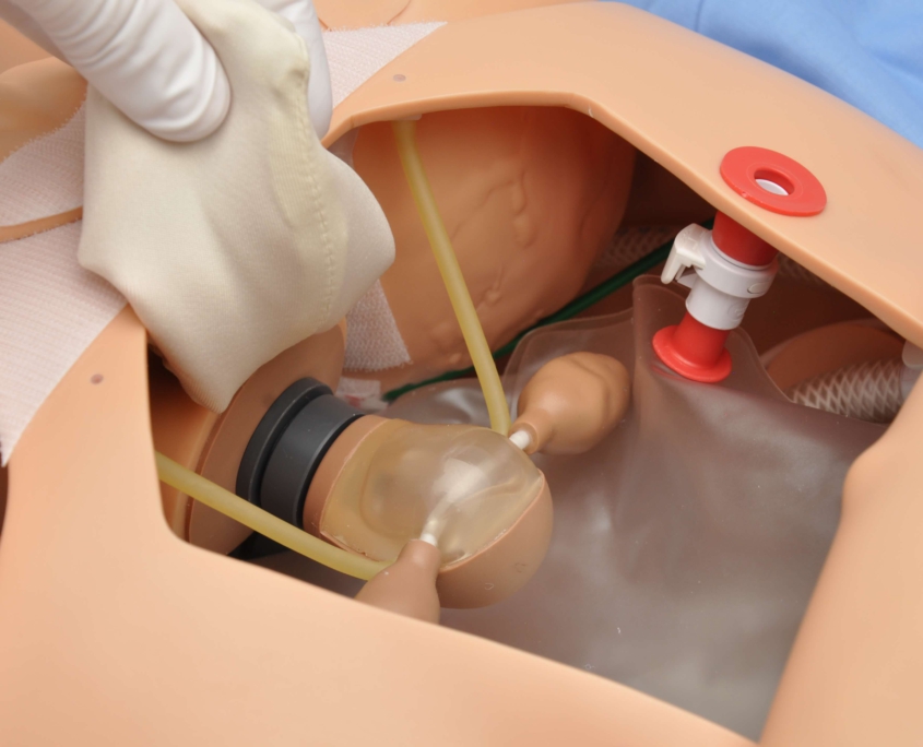 Detailansicht des Inneren eines High End Erwachsenensimulators von Gaumard