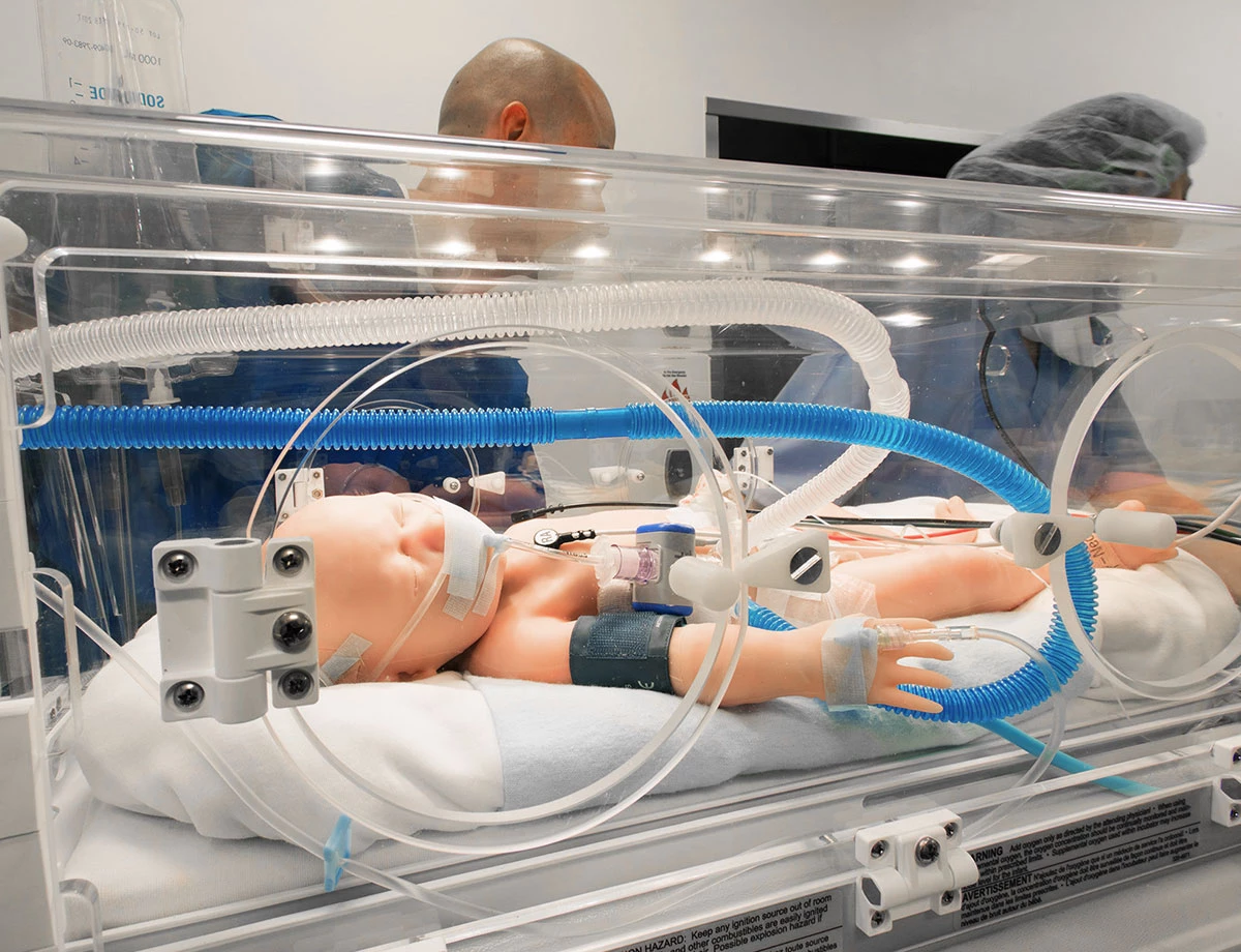 zwei Personen transportieren Neugeborenen-Simulator im Inkubator