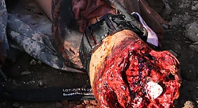 Gaumard-Trauma-HAL-S3040.50-wunde-galerie