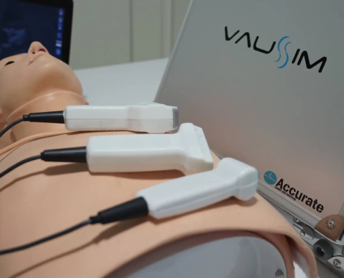 Versatile Advanced Ultrasound Simulator Accurate VausSim auf Patientensimulator