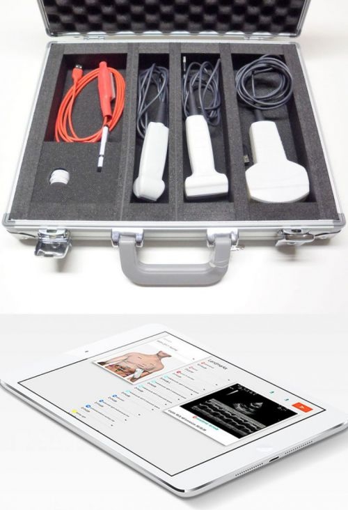 Transport Koffer und IPad-Ansicht des Versatile Advanced Ultrasound Simulator Accurate Vaussim