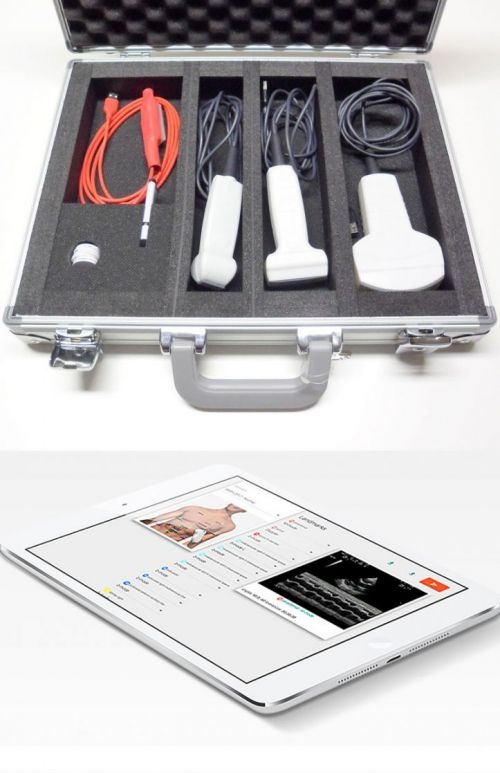 Transport Koffer und IPad-Ansicht des Versatile Advanced Ultrasound Simulator Accurate Vaussim