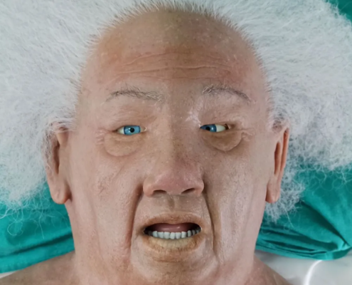 quadratisches Bild vom Gesicht des Überzuges - Dorothy - von Simulation Collective