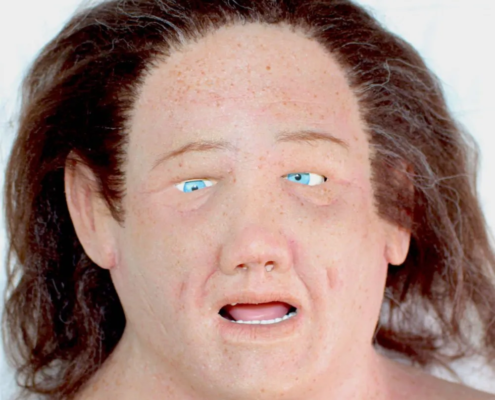 quadratische Aufnahme des Gesichtes des Overlay Version - Eva - von Simulation Collective