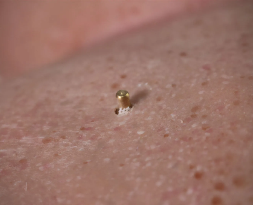 paul-overlay-03.jpg Detailaufnahme der Hautstruktur des Überzugs von Simulation Collective